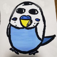 インコママ (@_sekisei_0303) 's Twitter Profile Photo インコママ (@_sekisei_0303) 's Twitter Profile Photo