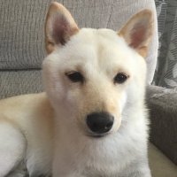 ハルト (@ev7dqyka7ar7bsv) 's Twitter Profile