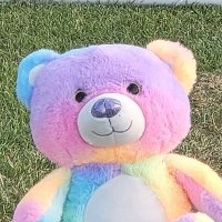 AB Rainbow the bear(@Rainbowthebear2) 's Twitter Profileg