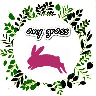 牧草専門shop any grassです。草食動物さん達が食す牧草は、さまざまな種類があります。 美味しいと喜んで食べてもらえるような香り高い牧草や、身体の調子を整える栄養価の高い牧草など、幅広く豊富に取り扱っております。 大切な食に対する思いにお役に立てれば幸いです。