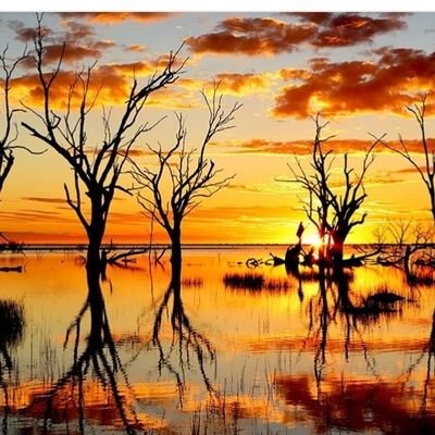 Swede551's profile picture. Here to 'VENT MY SPLEEN' 
Respectively living on GUNAIKURNAI land.