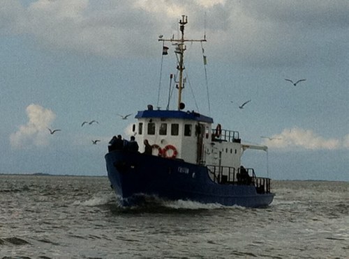 Tritonzeevissen's profile picture. We gaan vanaf vrijdag weer vol op jacht naar lekkere makreel. weinig wind dus weinig mensen ziek.. Vangsten zijn de laatste tijd uitstekend.