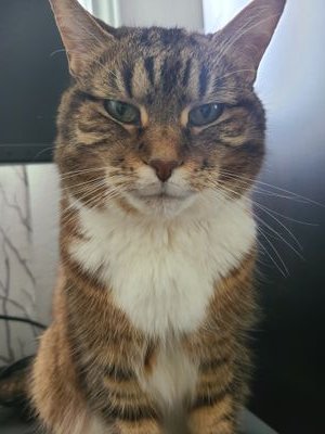 bachwithdreads's profile picture. Historically old fuddy duddy.