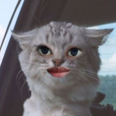 aliashii1's profile picture. okay. this is my place.