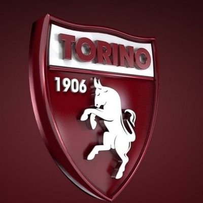 Sport, calcio, football fan, history, educations,
Torino FC, Olimpic Games.
Master of Science in Physical Educations.