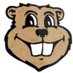 Gopher Softball Coaches (@gophersbcoaches) Twitter profile photo Gopher Softball Coaches (@gophersbcoaches) Twitter profile photo