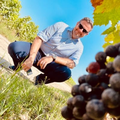 DipWSET / CSW 📚 Travel & Wine Experiences and culture 🌎 Wine Writer