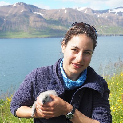 🇩🇪 Seabird ecologist @NINAnature 🇳🇴 with a special interest in foraging & breeding behaviour, demography, conservation & plastic pollution 🐧🐣🐥🐟🎈