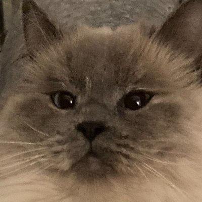 Tom_A__'s profile picture. 