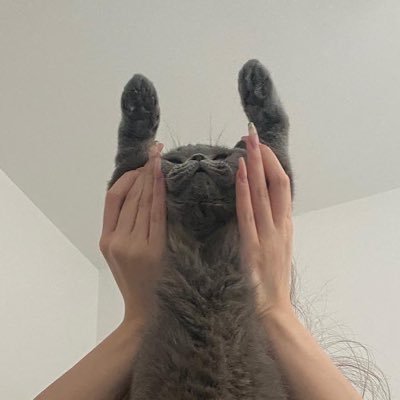 duann0_0's profile picture. 