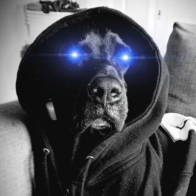 Dark tetrad dog fetching #Bitcoin everyday.