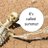 Mike Szabo / @szabotage.bsky.social