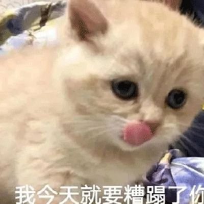 WYSDogtrainer's profile picture. 