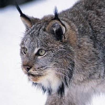 marilynawalker's profile picture. 