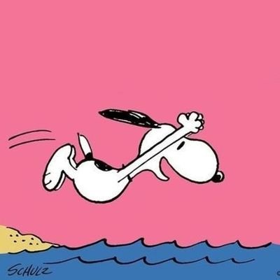 Twittttterbird's profile picture. 