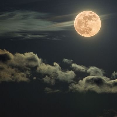 AuntyBabysBaby's profile picture. KEMU'24|Having me in ur life is like a treat of happiness