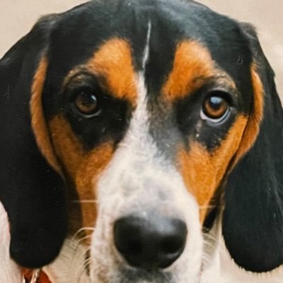 Donconn5's profile picture. Studied Rocket Surgery at City of Glasgow College