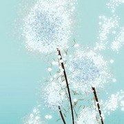 nguyen❤️ Memecoin (@nguyen52035075) 's Twitter Profile