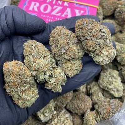 JosephP56432482's profile picture. 4 Runner 💰🏃⚓