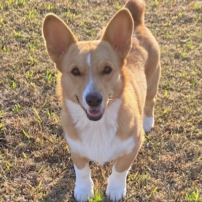 LillyEtheridge8's profile picture. 