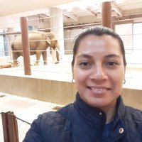 Iris Molina 🇭🇳 (@irismolinay) 's Twitter Profile