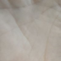 domprofessor2 (@domprofessor2) 's Twitter Profile