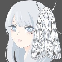 おすてが🐸 (@lepidoparadis0) 's Twitter Profile
