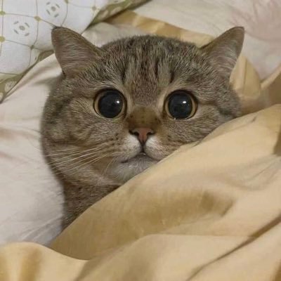 東京都内に安く住むならクロスハウスがおすすめです。敷金礼金0円、保証人不要で家賃3万円〜4万円代から住めます!紹介コード『3RBM』で1ヶ月目の家賃が無料になります。