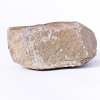 free ⓨ Stone (@freestone333) 's Twitter Profile