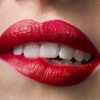 Luz de Luna (@luzdelu24275675) 's Twitter Profile