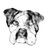 lulusdaddyo's profile image