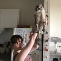 skye (@alaskanfriend) Twitter profile photo