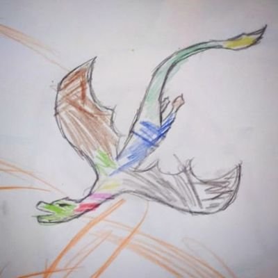 Kallyous 🐲🌈🍊さんのプロフィール画像