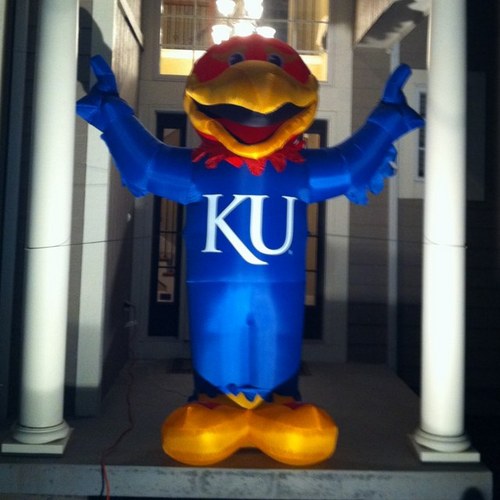 jayhawkgene Profile Picture