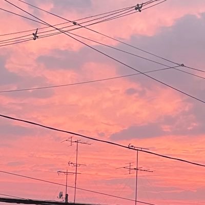ぽぽのさんのプロフィール画像