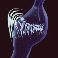 whatsdysmorphia (@whatsdysmorphia) 's Twitter Profile