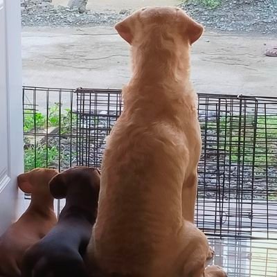 maine5031's profile picture. #LifeIsBeautiful
Don't think too hard, just have fun!