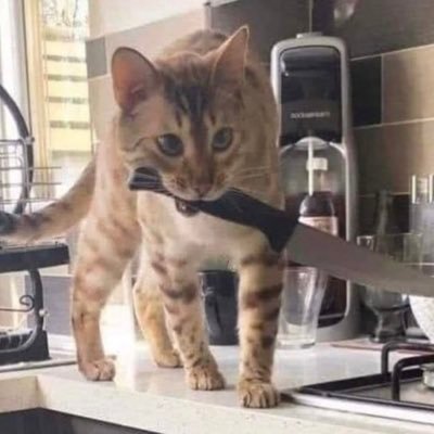 camduarten's profile picture. 🇲🇽