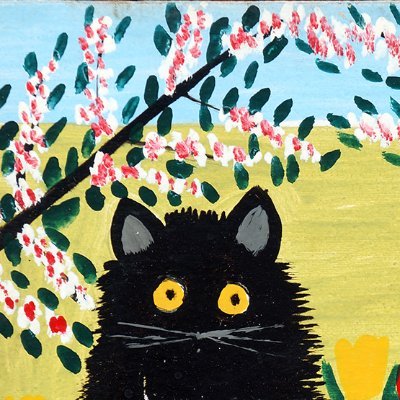 shaymaapng's profile picture. on tumblr since 2010