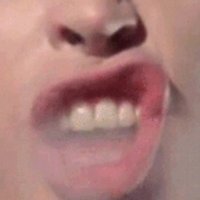 Kwola Has Punklips (Backup Account) (@stonedkwolabear) 's Twitter Profile