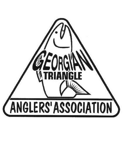 EditorTriAngler's profile picture. The Georgian Triangle Anglers' Association is a community-oriented conservation club committed to stocking game fish in Georgian Bay.