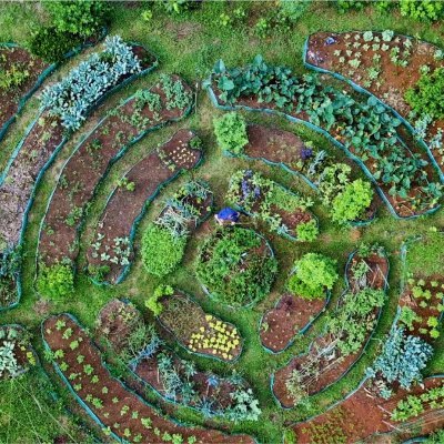 Lover of nature & humanity. We design a secure food source to sustain you and your family for generations to come. Minimal maintenance, maximum nourishment!