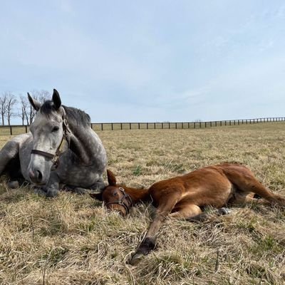 apricotvalleytb's profile picture. 