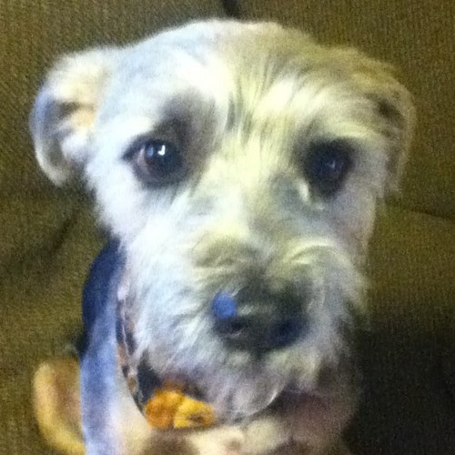 kmonkey20's profile picture. 