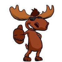 Moose Aco (@mooseaco) 's Twitter Profile