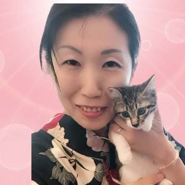 丸山晶代@保護猫シェルター&ごはんねこまる (@maruyamatenchou