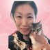 丸山晶代＠保護猫シェルター＆ごはんねこまる (@maruyamatenchou) Twitter profile photo