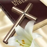 Holly Bible - @BibleHolly Twitter Profile Photo