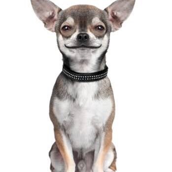 KAKASHI00728's profile picture. 