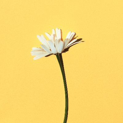 BdRnym's profile picture. باحثة| ماجستير إدارة تربوية من ksu| مهتمة بالقيادة، والبحث العلمي.